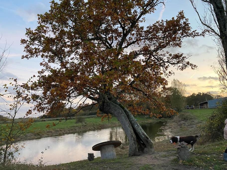 Villenouan Domaine Et Gites Lailly-en-Val Екстериор снимка